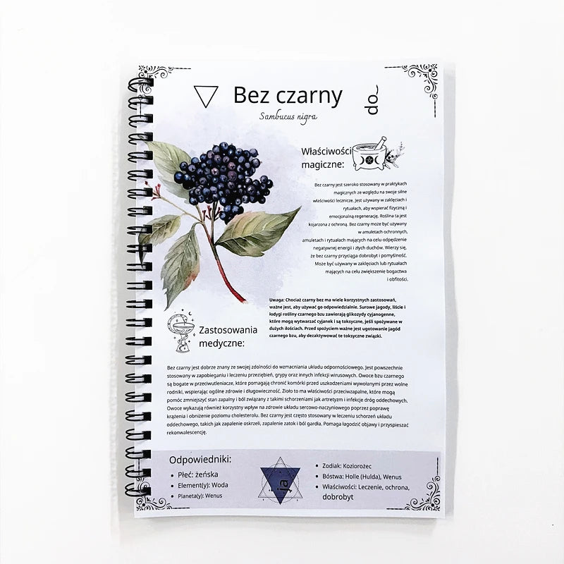 The Lost Book of Herbal Remedies Spiral Notebook Polish Edition Cover Journal for Herbalists & Natural Wellness Notes